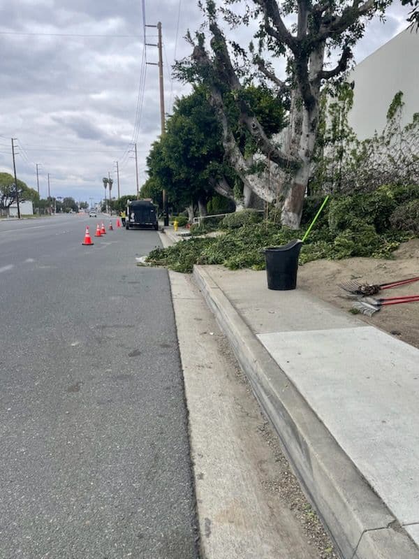 Freddy's Landscaping Beautifies Santa Fe Springs