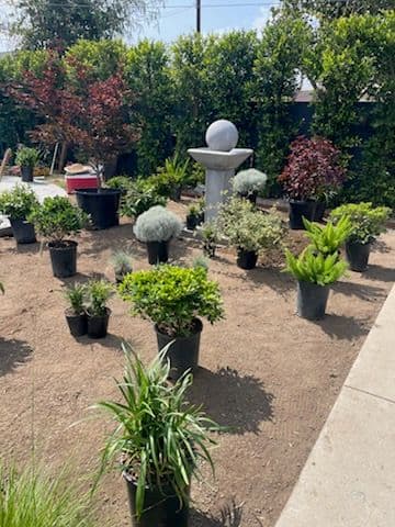 Stunning Backyard Transformation in Chatsworth CA