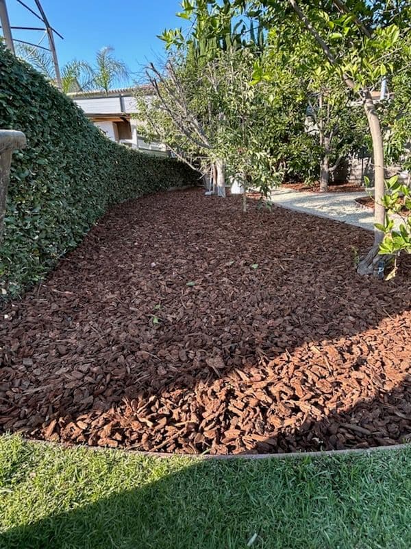 Project Garden Makeover with Bark Mulch and Gravel Path image